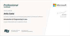 Professional Certificate: Introduction to Programming in Java